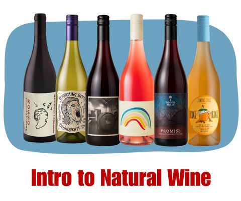 6 Pack - Intro to Natural Wine