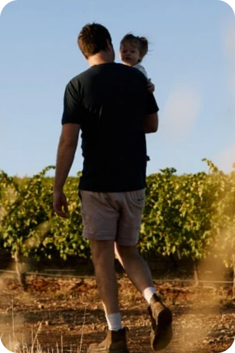 2025 Gullyview Estate 'Albert's' Vermentino