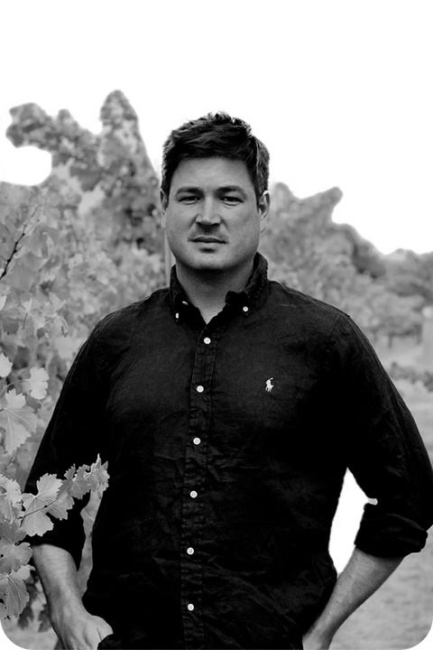 2025 Regional Chardonnay