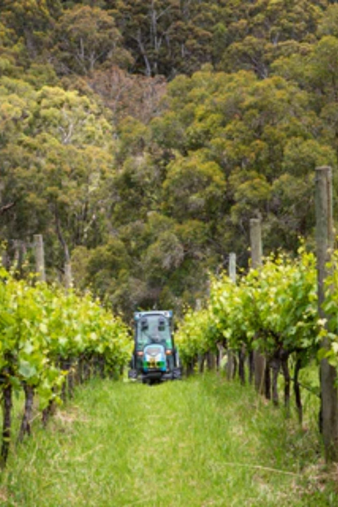 2024 Gentle Folk 'Little Creek' Pinot Noir