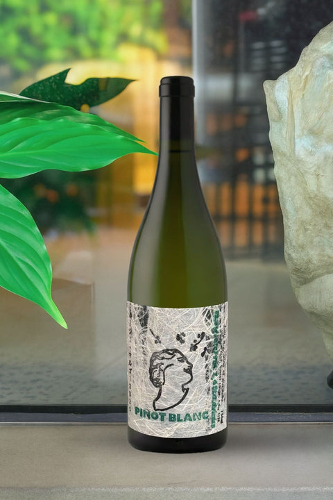 6 Pack - Lucy M Wines | Curated Collection