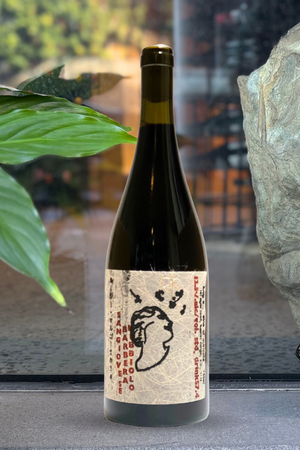 2024 Lucy M Vino Sangiovese Barbera Nebbiolo