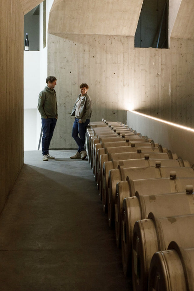 2022 Arndorfer Strasser Weinberge Grüner Veltliner