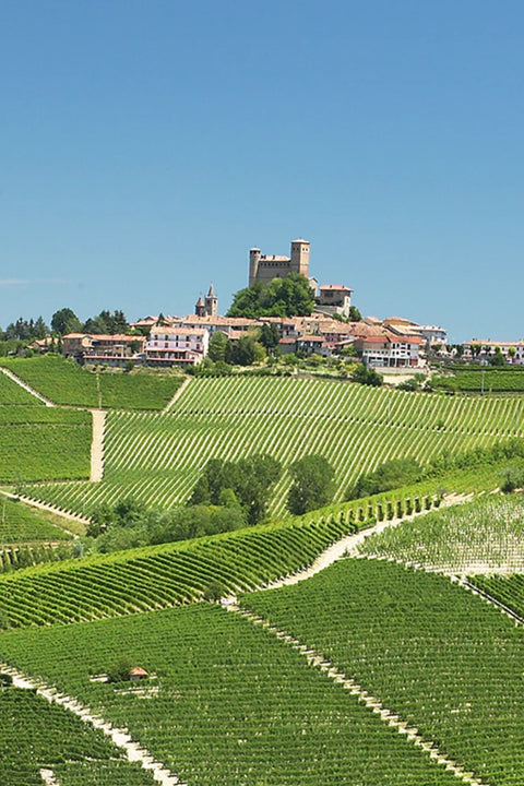 2017 Massolino Barolo Vigna Rionda Riserva