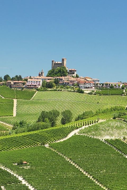 2025 Massolino Moscato d'Asti 375ml