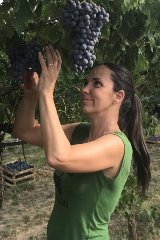 2020 Monte dall’Ora 'Camporenzo' Valpolicella Classico Superiore