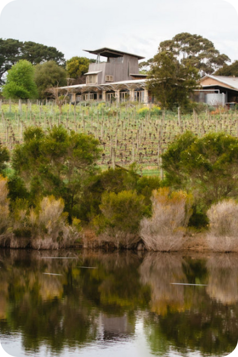 2025 Devil Bend Creek Pinot Noir