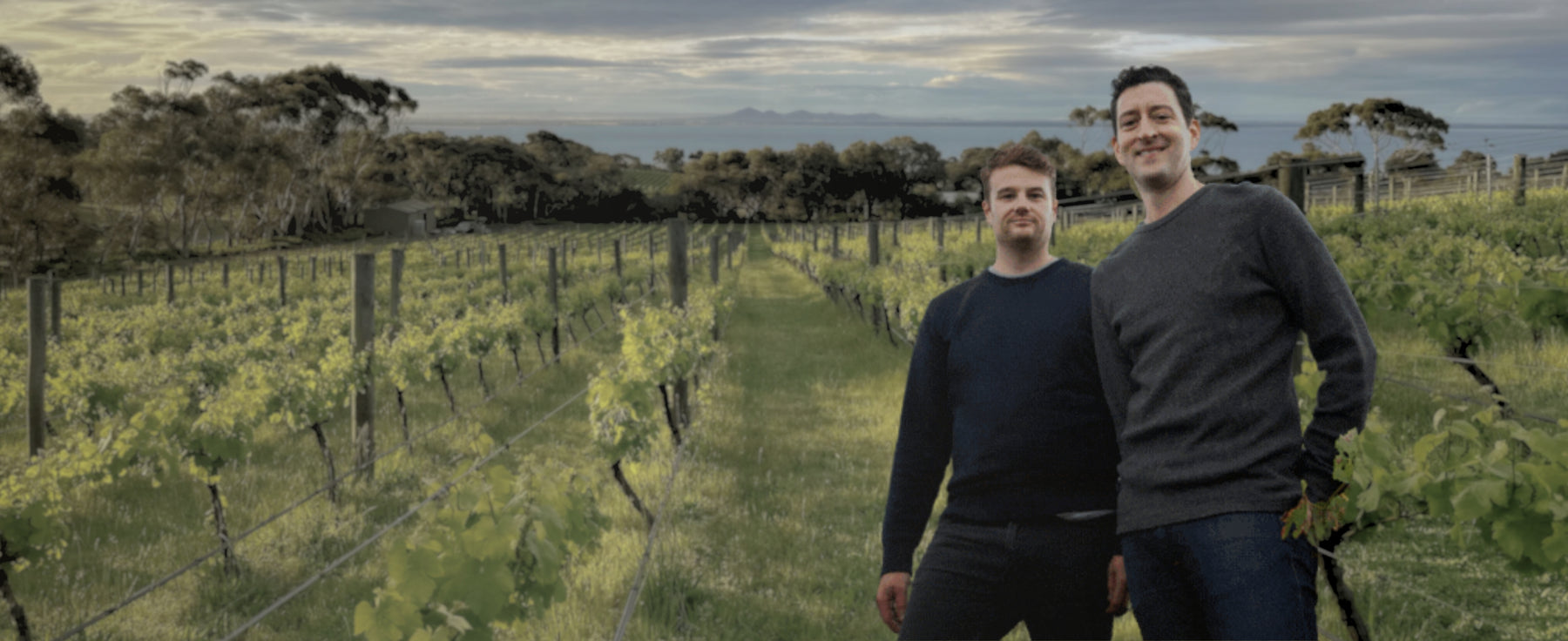 Mulline Vintners