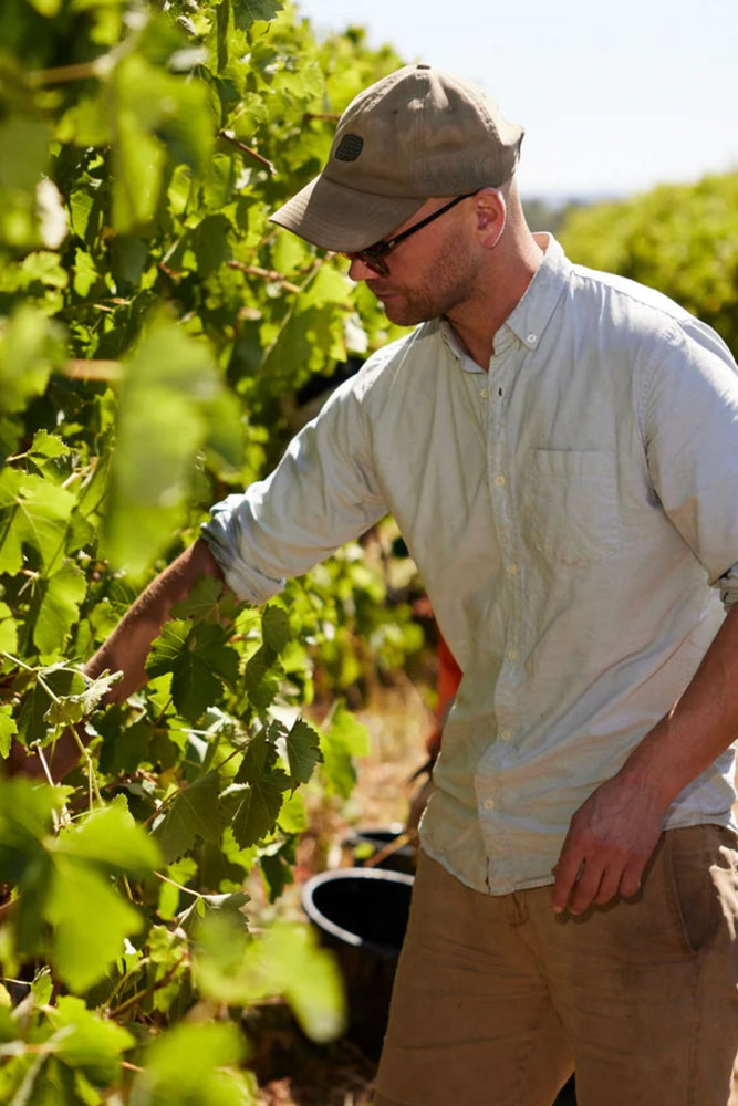 2025 Murdoch Hill Sauvignon Blanc