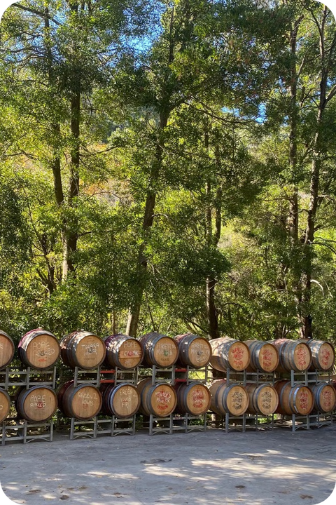 2026 'The Green Room' Grenache