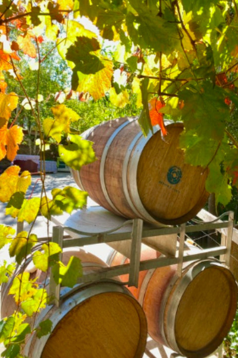 2025 Ochota Barrels 'Slint' Chardonnay