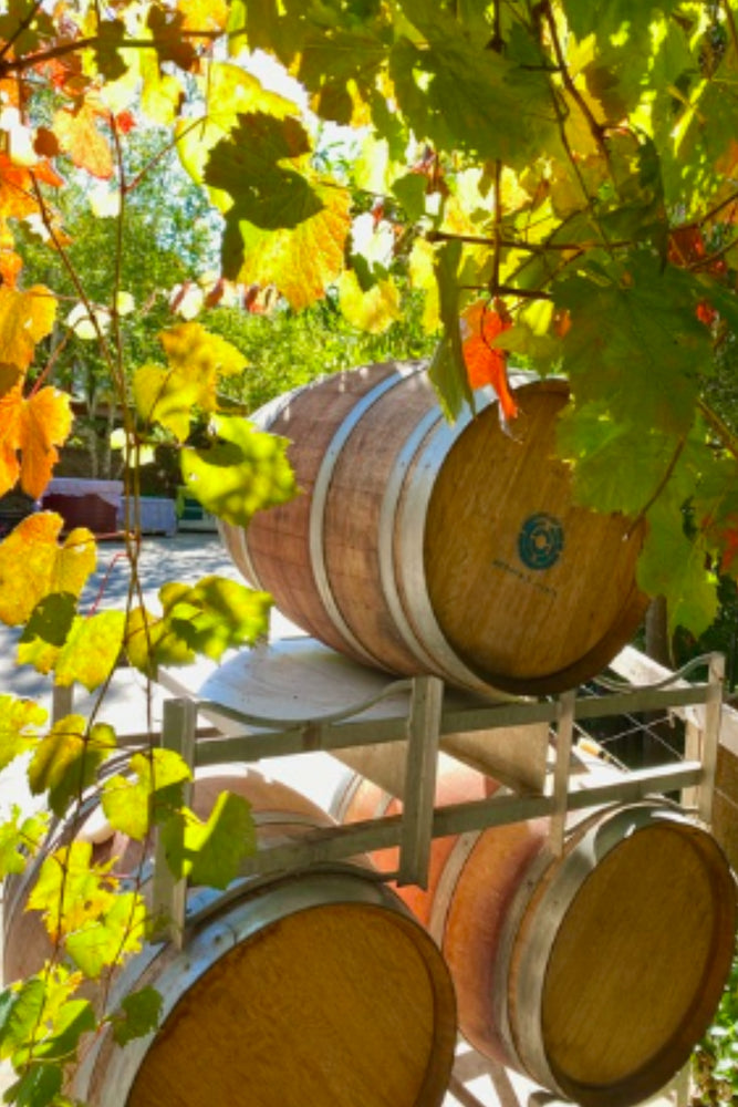 2025 Ochota Barrels 'Fugazi' Grenache