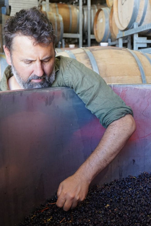 2025 Onannon Mornington Pinot Noir