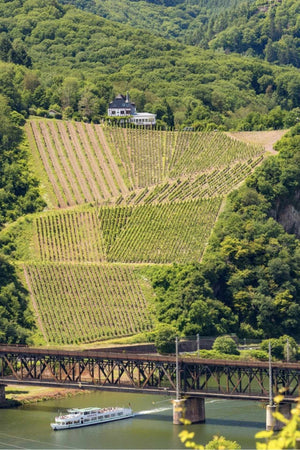 2021 Ulli Stein Alfer Hölle '1900' Riesling Kabinett Trocken