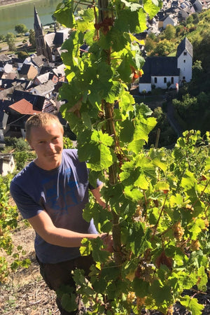 2021 Ulli Stein Alfer Hölle '1900' Riesling Kabinett Trocken