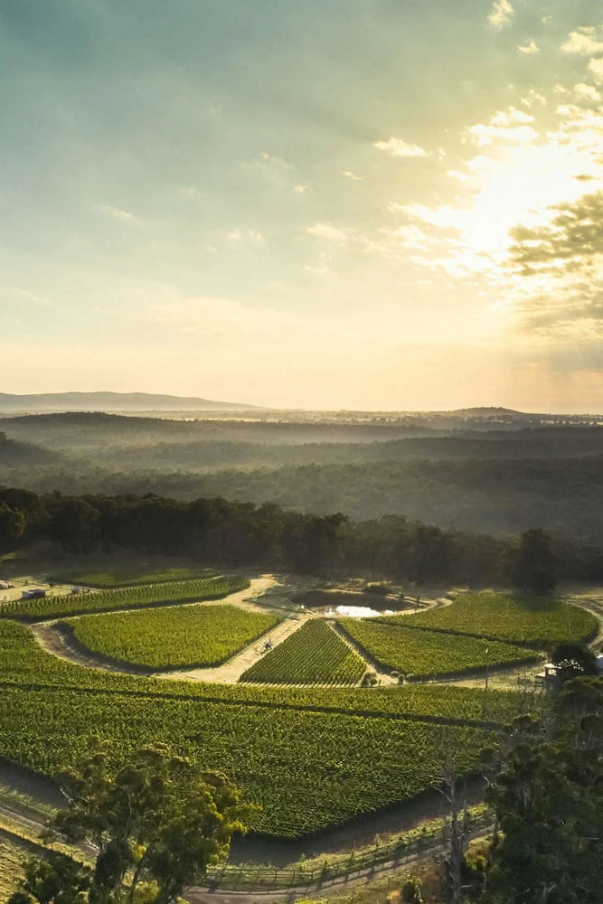 2023 Place of Changing Winds 'Syrah No. 2'