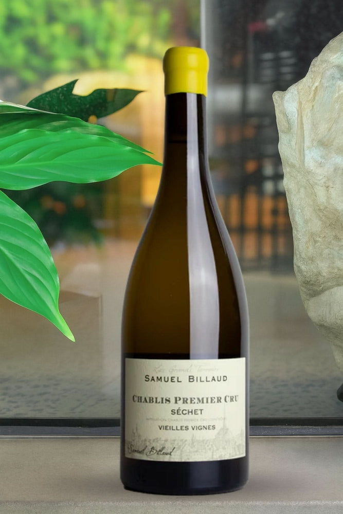 2023 Samuel Billaud 'Séchet' 1er Cru Vieilles Vignes Chablis