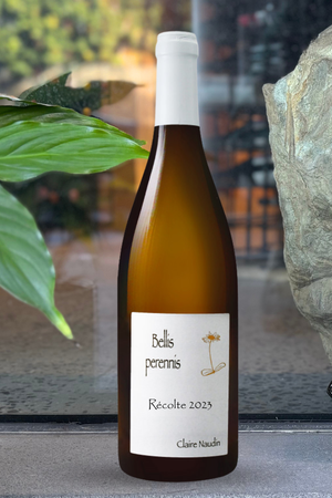 2023 Claire Naudin Hautes-Côtes de Beaune 'Bellis Perennis' Blanc
