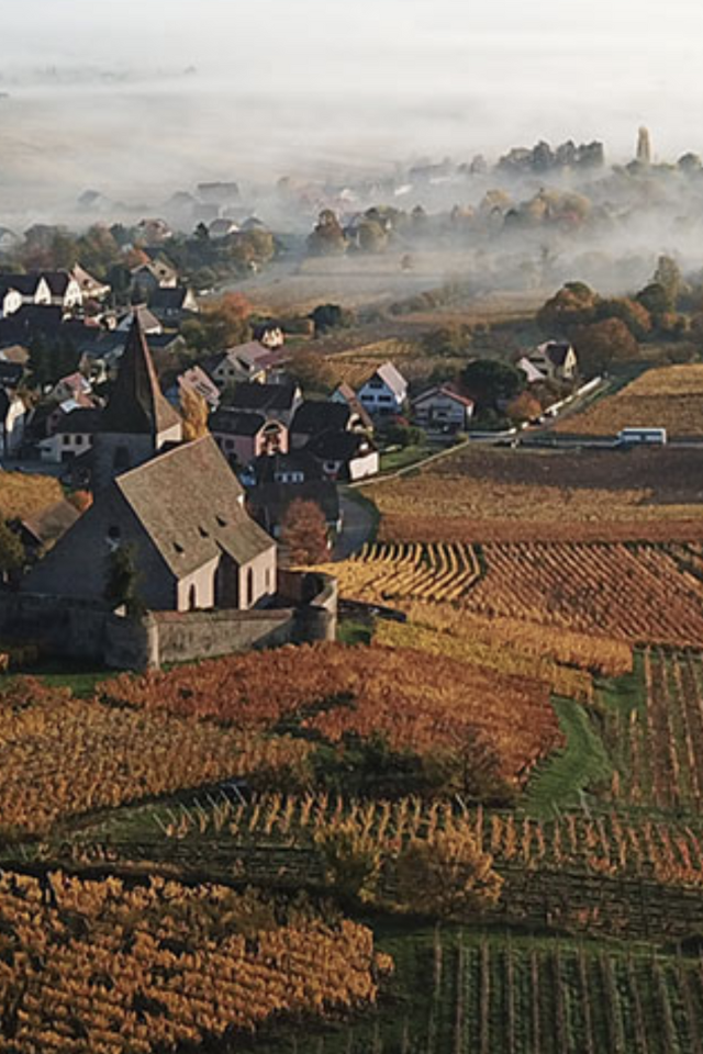 2023 Mittnacht Frères "Les Fossilles" Riesling