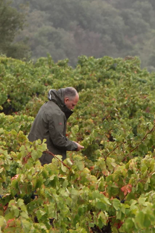 2023 Jeff Carrel 'Morillon Blanc' Chardonnay