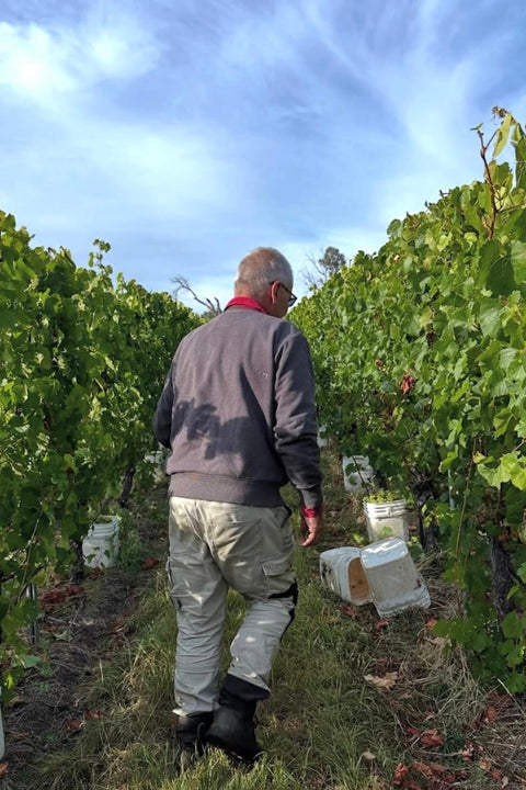 2021 Meadowbank 'Blanc de Noirs' Sparkling