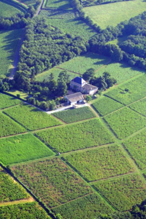 2020 Château des Rontets 'Clos Varambon' Pouilly-Fuissé