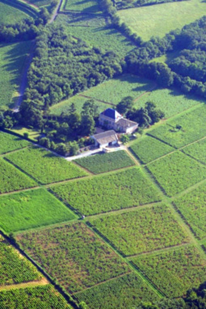 2020 Château des Rontets 'Clos Varambon' Pouilly-Fuissé