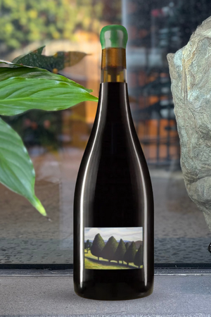 2024 William Downie 'Gippsland' Pinot Noir