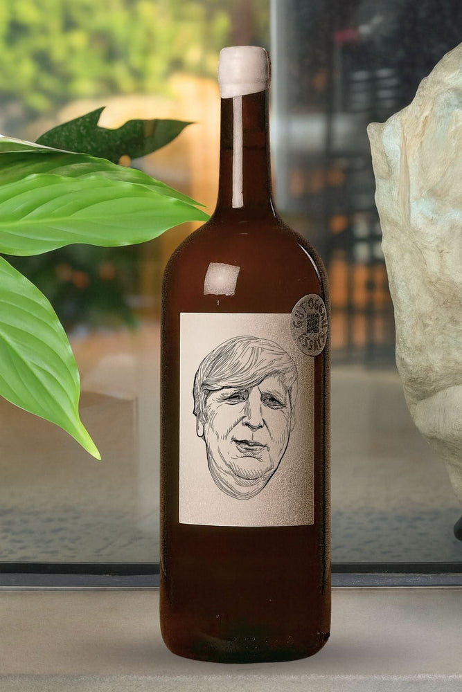 2022 Gut Oggau 'Timotheus' Magnum