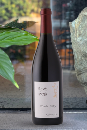 2023 Claire Naudin Hautes-Côtes de Nuits 'Myosotis Arvensis' Bourgogne Rouge