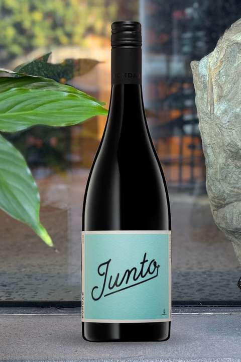 2025 Bondar 'Junto' Red | GSM