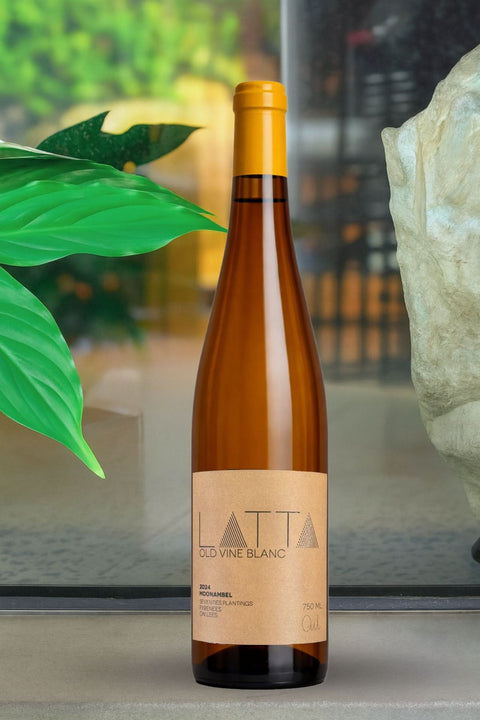 2024 LATTA Vino 'Old Vine Blanc' Sauvignon Blanc