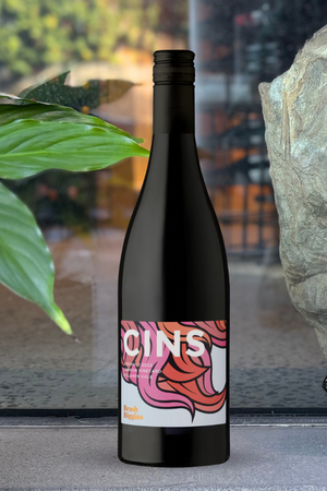 2022 Brash Higgins 'CINS' Cinsault