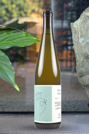 2021 Cantina Giardino 'Gaia' Fiano