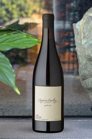 2023 Gentle Folk 'Scary Gully' Pinot Noir