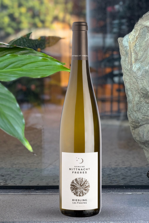 2023 Mittnacht Frères "Les Fossilles" Riesling