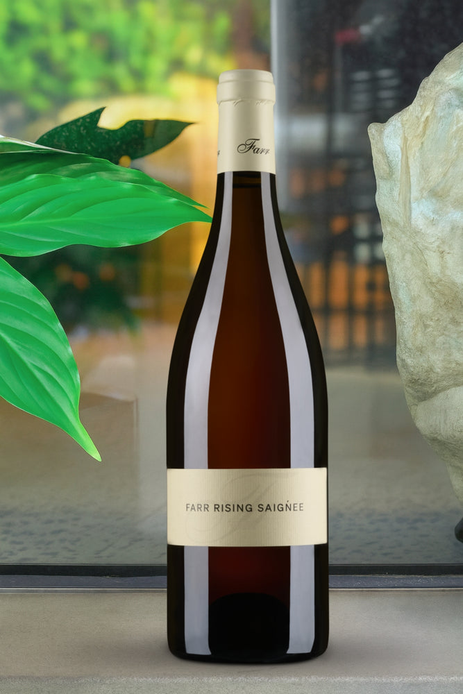 2025 By Farr 'Farr Rising' Saigńee