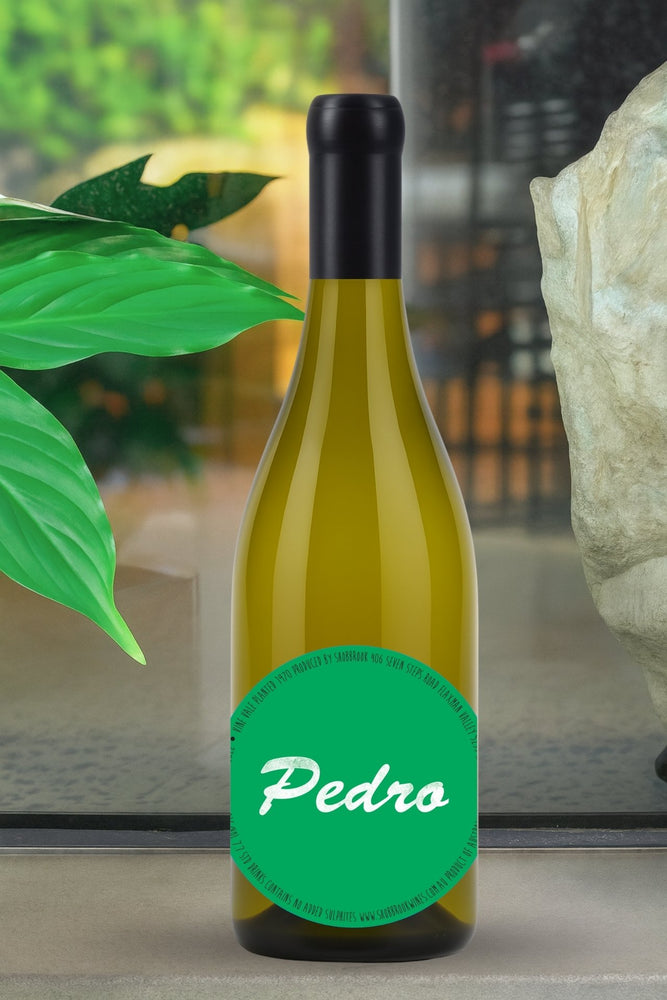 2024 Shobbrook Pedro