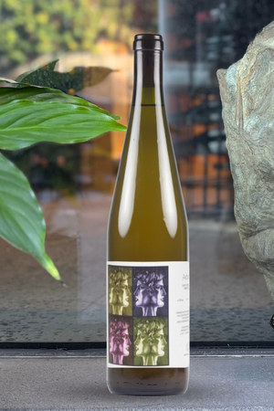 2021 Cantina Giardino 'Adam' Greco