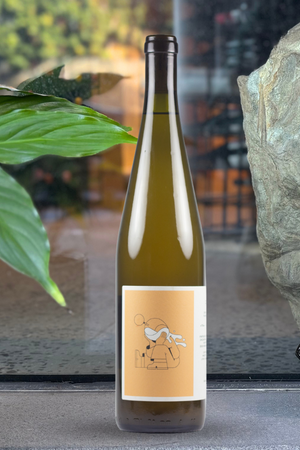 2021 Cantina Giardino 'Fra' Falanghina