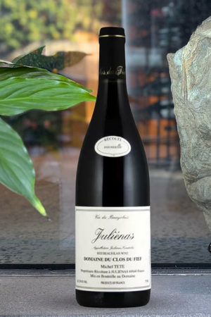 2023 Domaine du Clos du Fief 'Juliénas' Tradition Beaujolais
