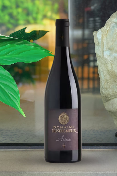2022 Domaine Duseigneur Lirac 'Antares'