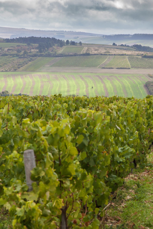2022 Domaine D'Edouard Bourgogne Rouge