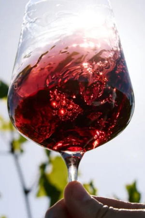 2023 Gullyview 'Countryside' Cabernet Sauvignon