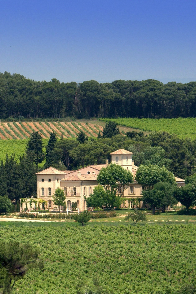 2023 Chateau Gigognan Côtes du Rhône Rouge