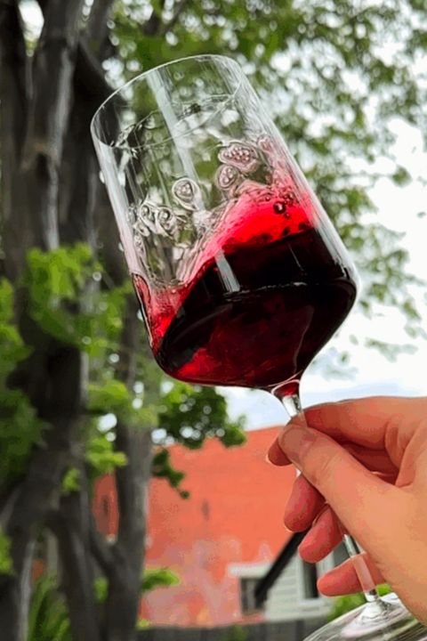 2024 Domaine Chermette 'Griottes' Beaujolais MAGNUM 1500ml