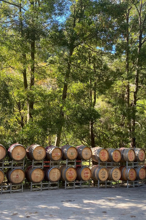 2025 Ochota Barrels 'The Green Room' Grenache