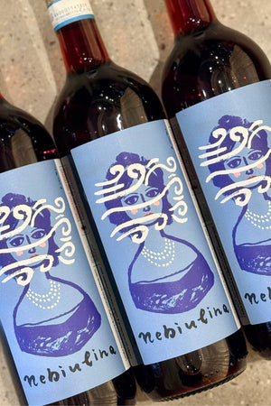 2024 Benotti Rosavica 'Nebiulina' Langhe Nebbiolo