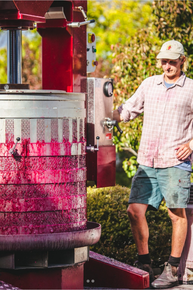 2022 Samuel's Gorge Shiraz