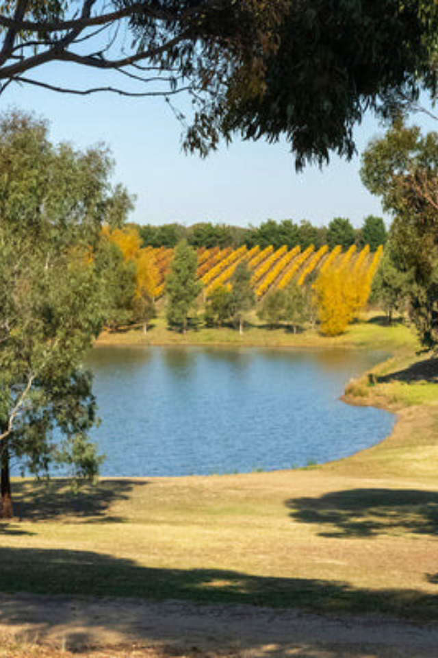 2024 Bannockburn Riesling